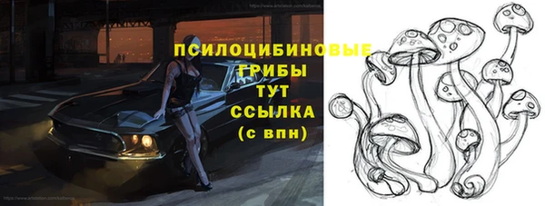 спиды Алзамай