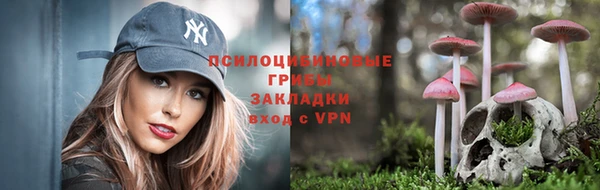 ешки Протвино