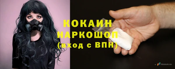спиды Алзамай