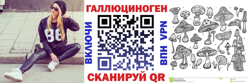 закладки Углич Галлюциногенные грибы MAGIC MUSHROOMS