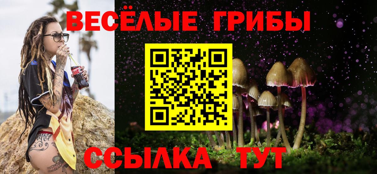 Галлюциногенные грибы GOLDEN TEACHER Углич